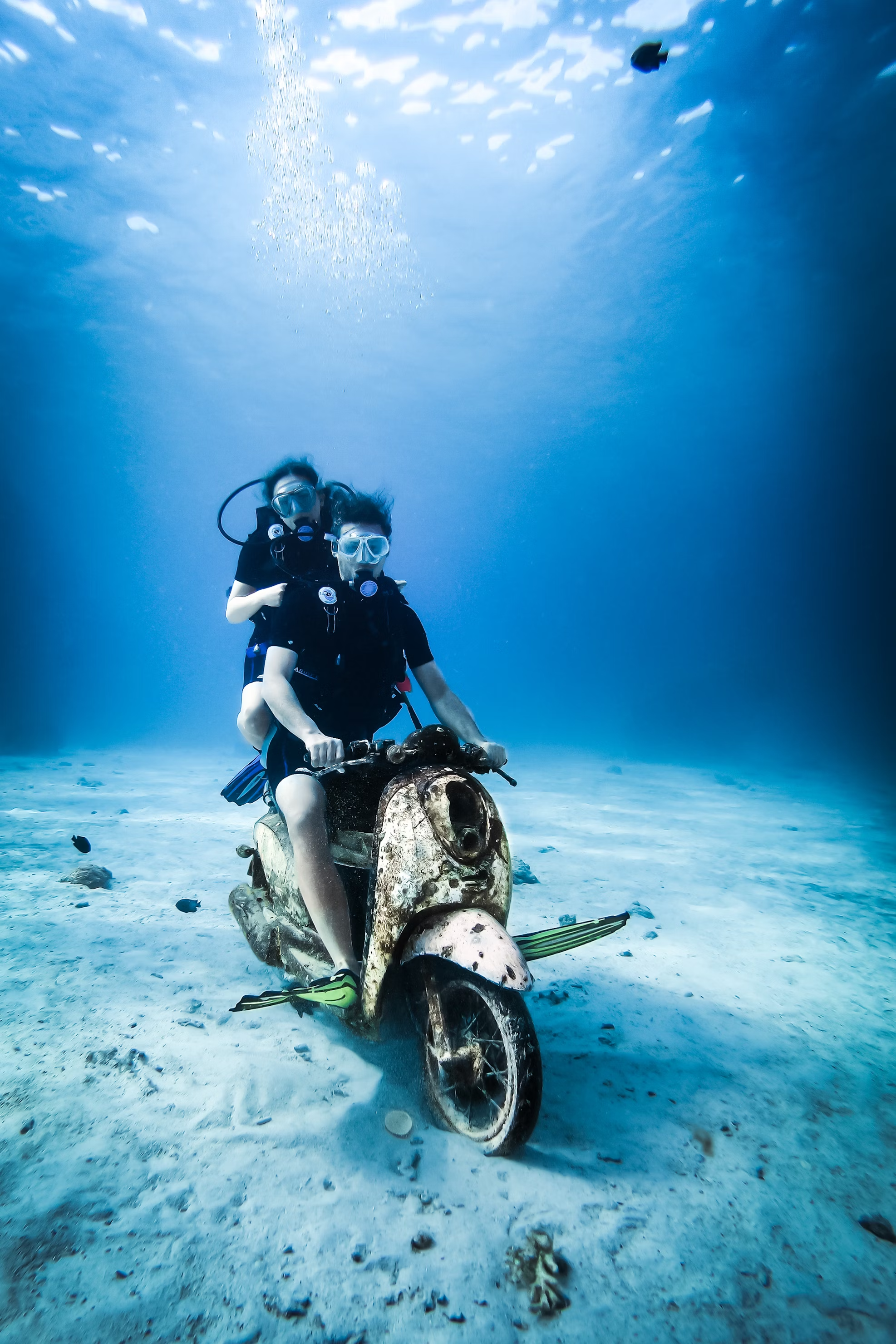 Diver Story 5