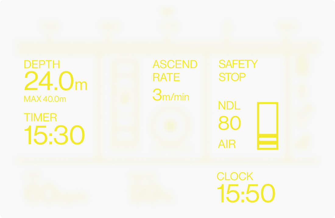 Variant 1