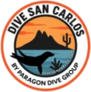 Dive San Carlos