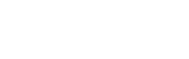 divepro Website